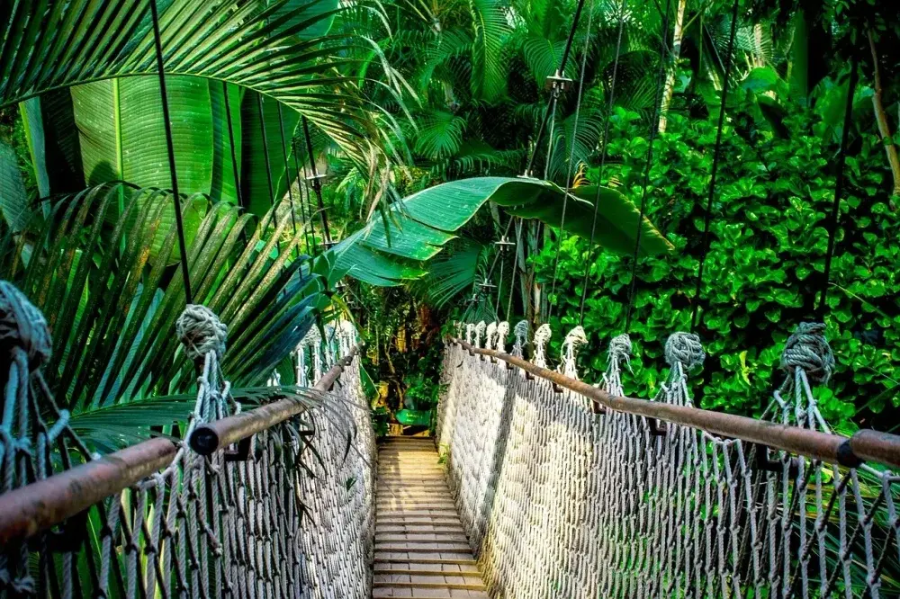 Peruvian Amazon & Machu Picchu