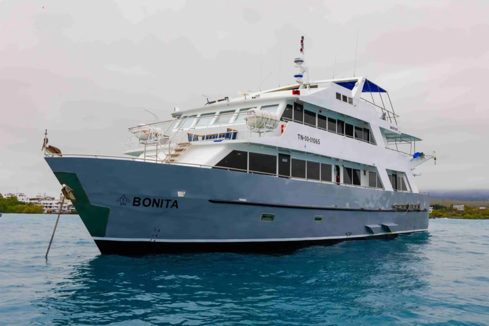 Bonita