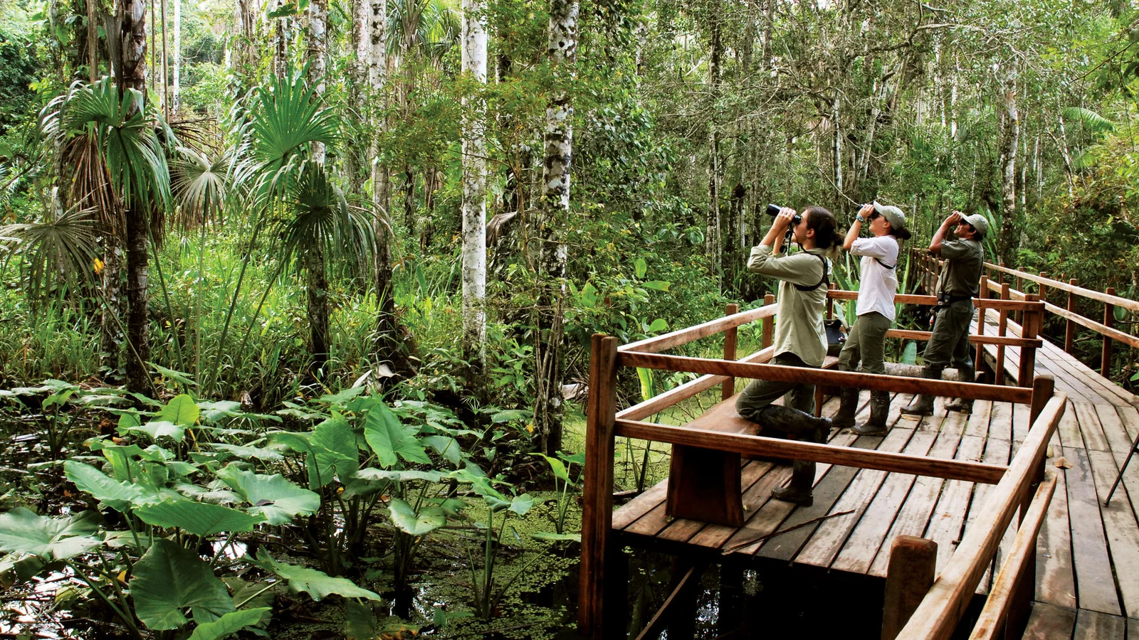 Peruvian Amazon & Machu Picchu